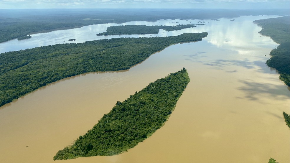 Imagens de satélite mostram pluma de sedimentos de garimpos no curso do rio Tapajós — Foto: Observatório do Clima