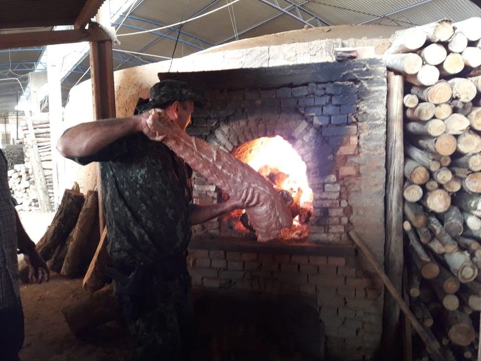 Carne foi destruída após a apreensão — Foto: Polícia Ambiental/Cedida