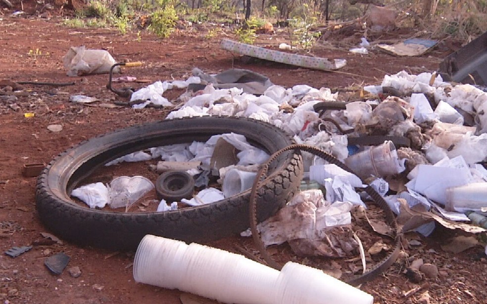 Lixo acumulado precisa ser evitado nos quintais — Foto: Reprodução/TV Anhanguera