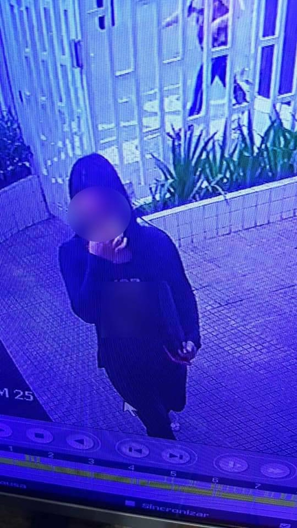 De acordo com idosa, golpistas a mantiveram no telefone por horas em Santos, SP — Foto: Reprodução