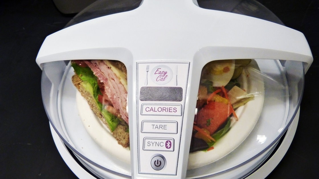O protótipo do contador de calorias (Foto: Divulgação)