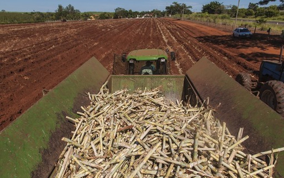 Na safra 2022/23, a produtividade agrícola média foi de 73,3 toneladas de cana por hectare, segundo dados do Centro de Tecnologia Canavieira (CTC), citados pela Unica