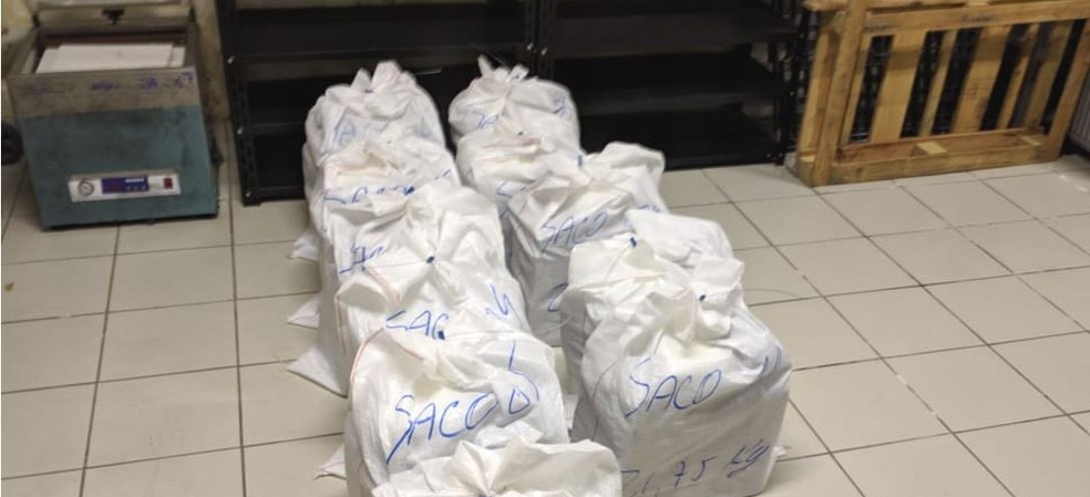PF prende 3 pessoas e apreende 238 quilos de cocaína no Porto de Natal — Foto: Polícia Federal