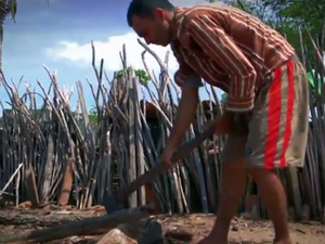Agricultor corta árvores da caatinga para usar madeira no fogão à lenha (Foto: Reprodução/TV Paraíba)