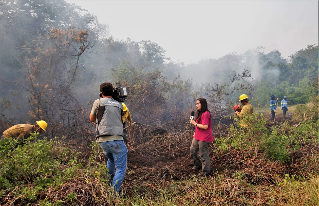Cláudia Gaigher lança livro: 'Diário de Uma Repórter no Pantanal' (Foto: Divulgação )