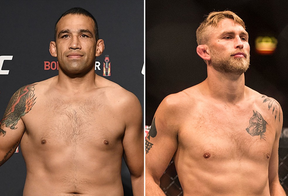 24+ Fabricio Werdum Ufc Pictures