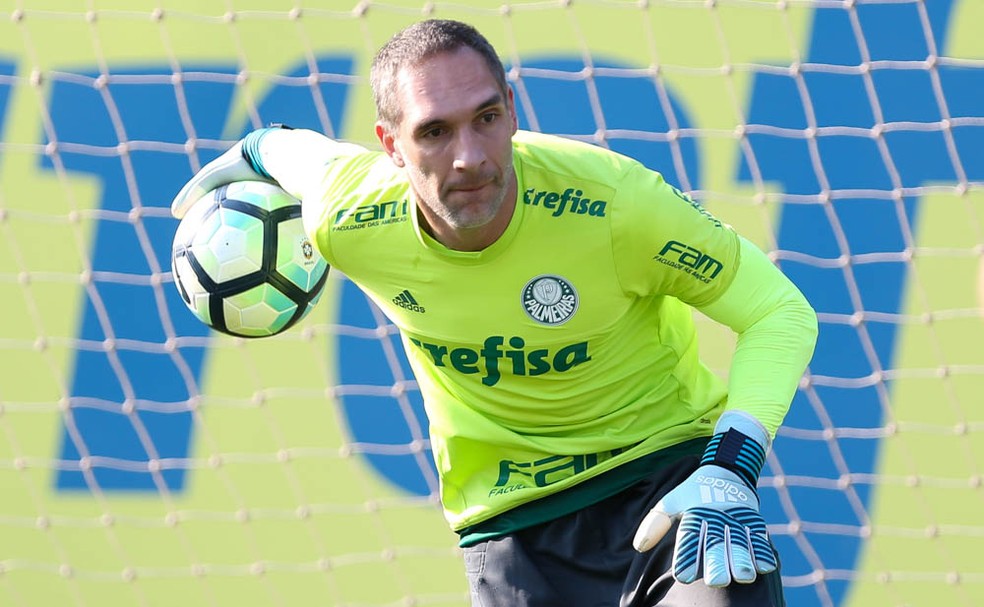 Fernando Prass deve ficar no Palmeiras por mais um ano  (Foto: Cesar Greco/Ag Palmeiras)