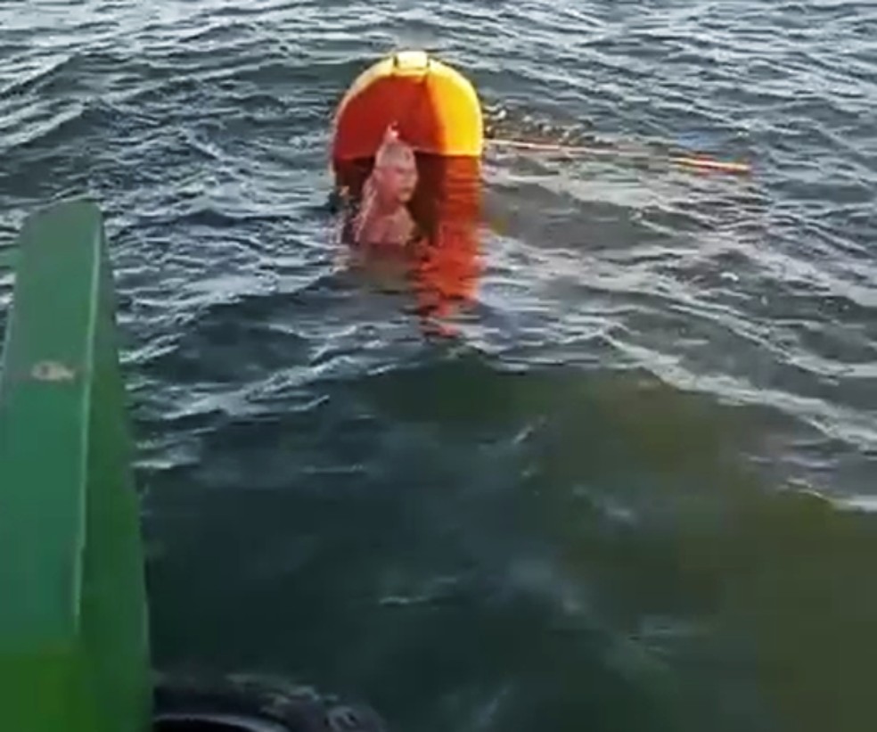 Homem no mar apos canoa naufragar em região turística da Bahia onde mulher morreu — Foto: Reprodução/Redes Sociais
