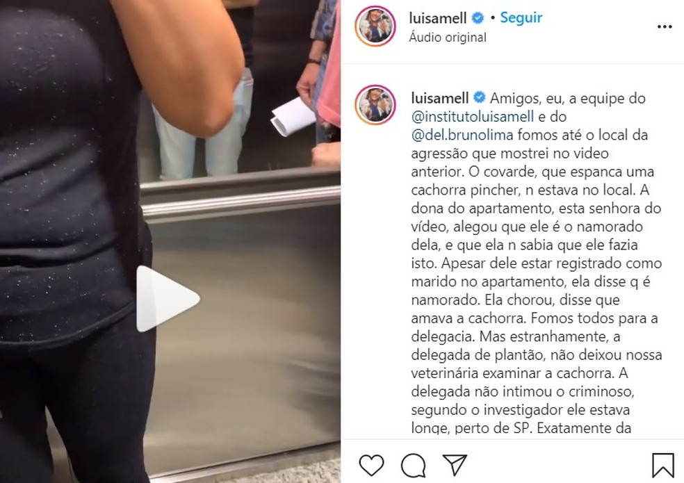 Ativista dos animais Luisa Mell se manifestou sobre as agressões em Americana — Foto: Reprodução/Instagram