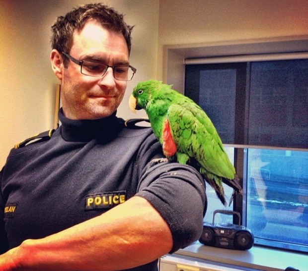 Policial brinca com papagaio (Foto: Reprodução Instagram)
