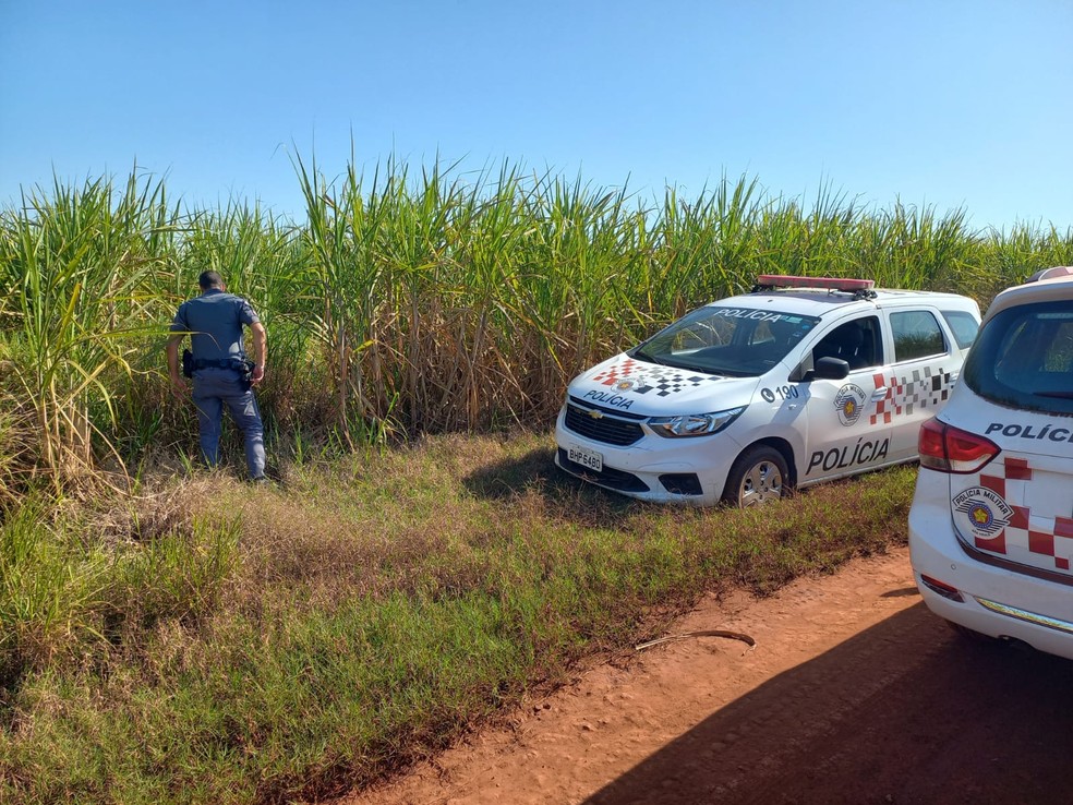 Policiais fazem buscas na região do distrito de Potunduva em busca de dono da van achada com marcas de sangue — Foto: Polícia Militar/Divulgação