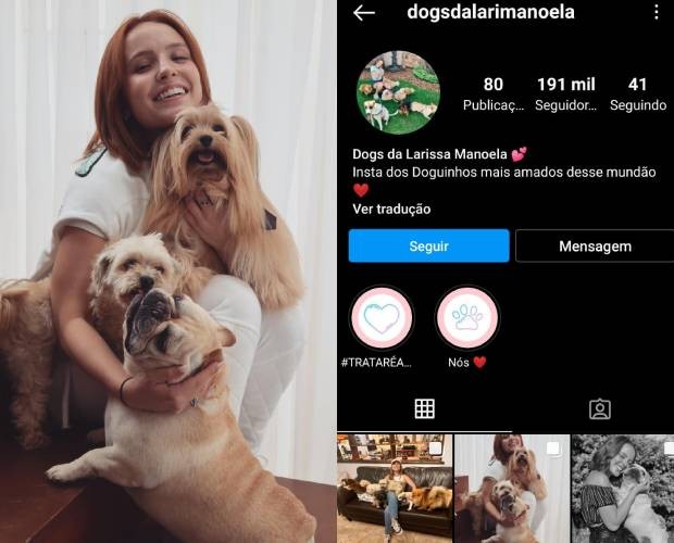 Larissa Manoela e seus cachorros (Foto: Instagram/@dogsdalarimanoela/Reprodução)