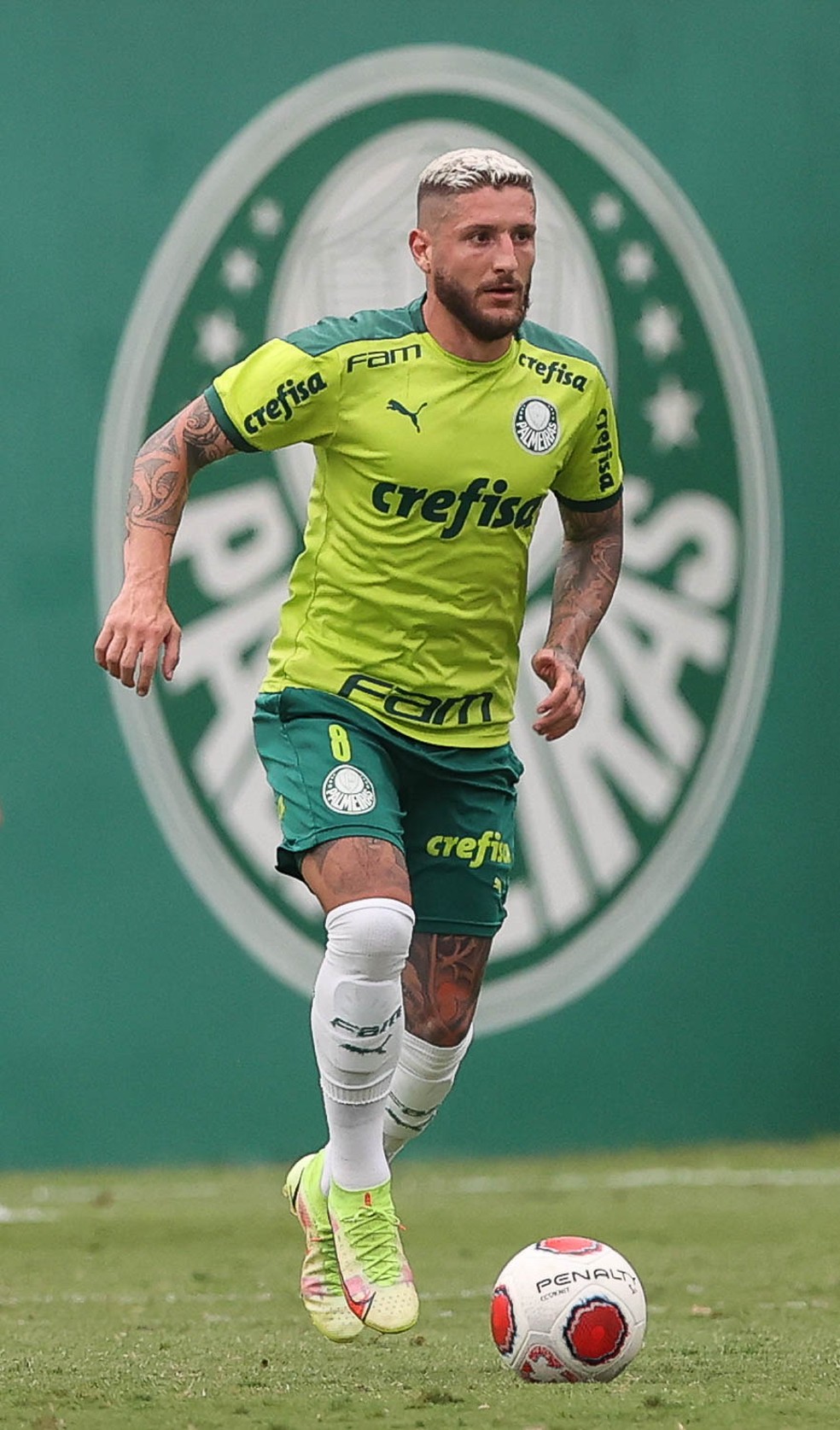 Z� Rafael, do Palmeiras � Foto: Cesar Greco / Ag. Palmeiras