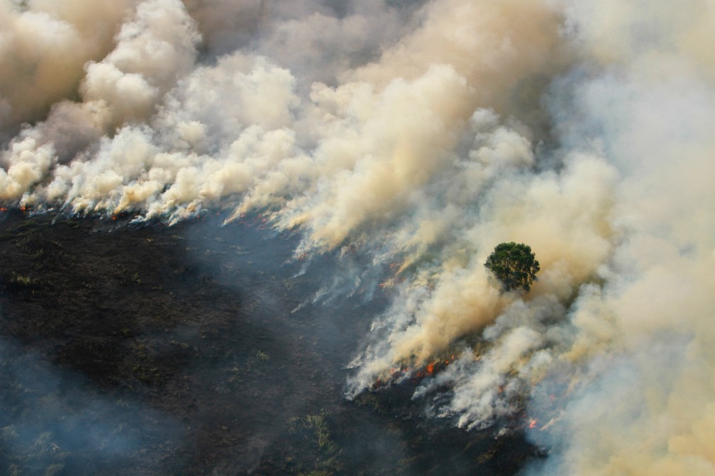 Fumaça toma área incendiada na Indonésia — Foto: Antara Foto/Reuters