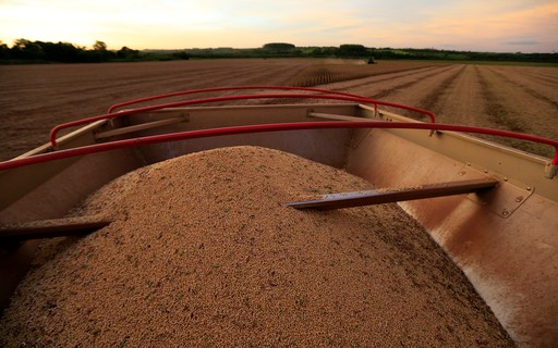 Estados Unidos vende más de 2,5 millones de toneladas de cereales de cosecha 2021/2022 por semana – Revista Globo Rural