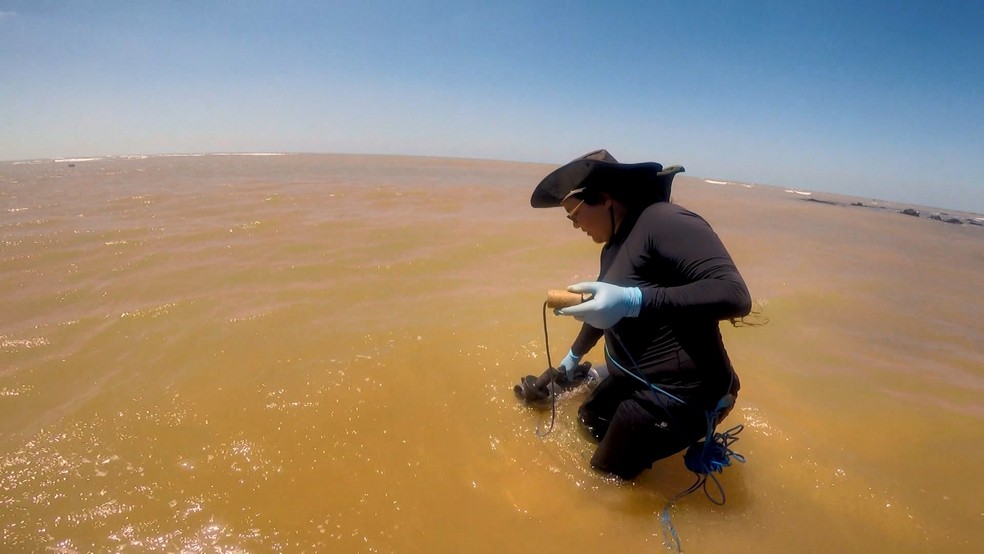 Pesquisadores de 24 universidades estudam impactos da lama da Samarco â Foto: Rafael Zambe/ TV Gazeta