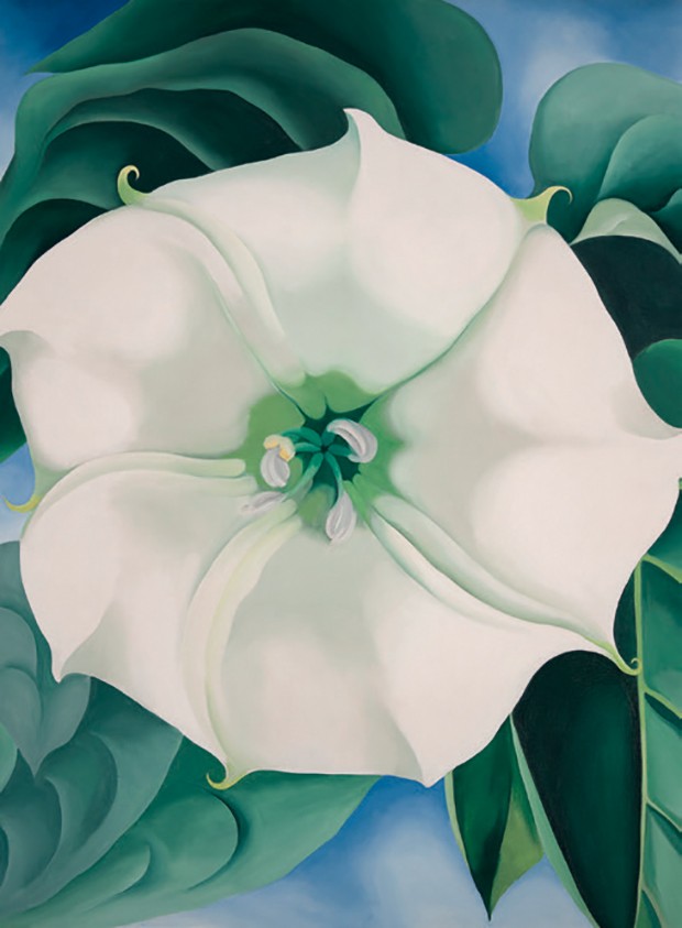 Destaque da mostra: Jimson Weed/White Flower No.1 (1932) (Foto: Cecil Beaton/Conde Nast Collection/Getty Images, Tinko Czetwertynski, Reprodução e Divulgação)