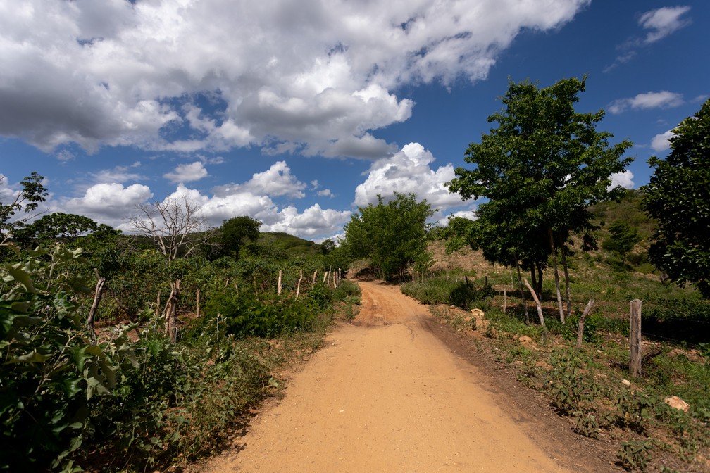 Estrada de terra perto de Jeremoabo, no sertão da Bahia — Foto: Marcelo Brandt/G1