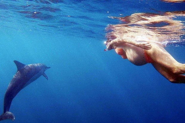Dorina e golfinho (Foto: Divulgação)
