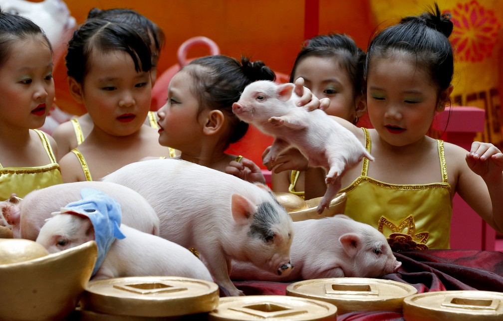 Crianças brincam com mini porcos nesta terça-feira (5) em celebração do Ano Novo Chinês nas Filipinas — Foto: Bullit Marquez/AP Photo