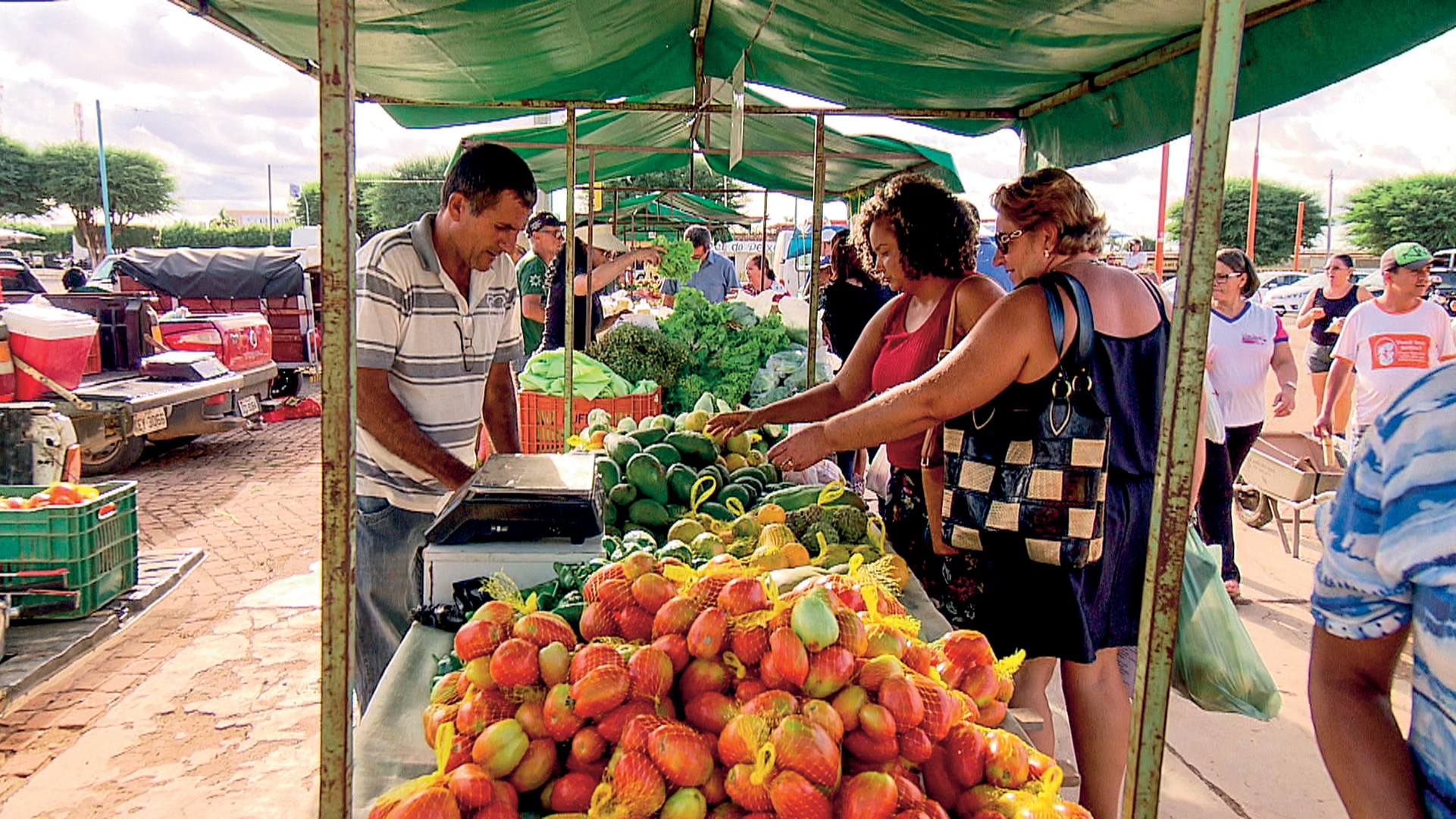 orgânicos - agricultura familiar (Foto: Reprodução/TV Globo)