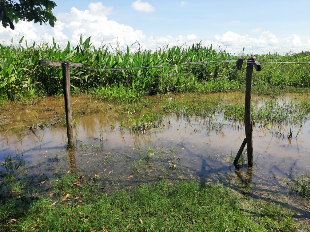 Chuvas começaram a alagar a região do Pantanal — Foto: Arquivo pessoal