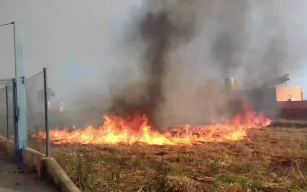 Lote pega fogo em Goiânia (Foto: Reprodução/TV Anhanguera)