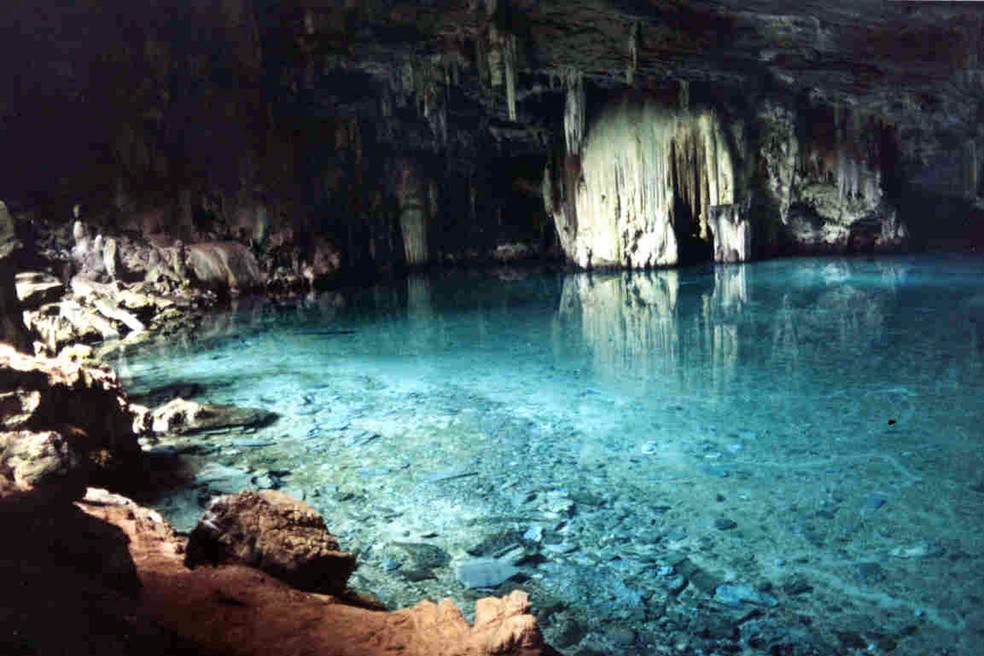 As cavernas possuem animais específicos como os troglóbios que vivem em ambientes escuros — Foto: Assessoria/Sema-MT