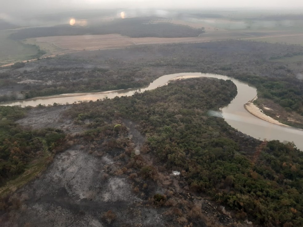 Incêndio atinge Parque Estadual do Aguapeí — Foto: Defesa Civil