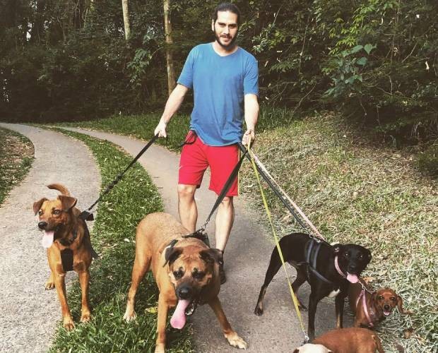 Gabriel Sater é tutor de cinco cachorros (Foto: Instagram/@gabrielsateroficial/Reprodução)
