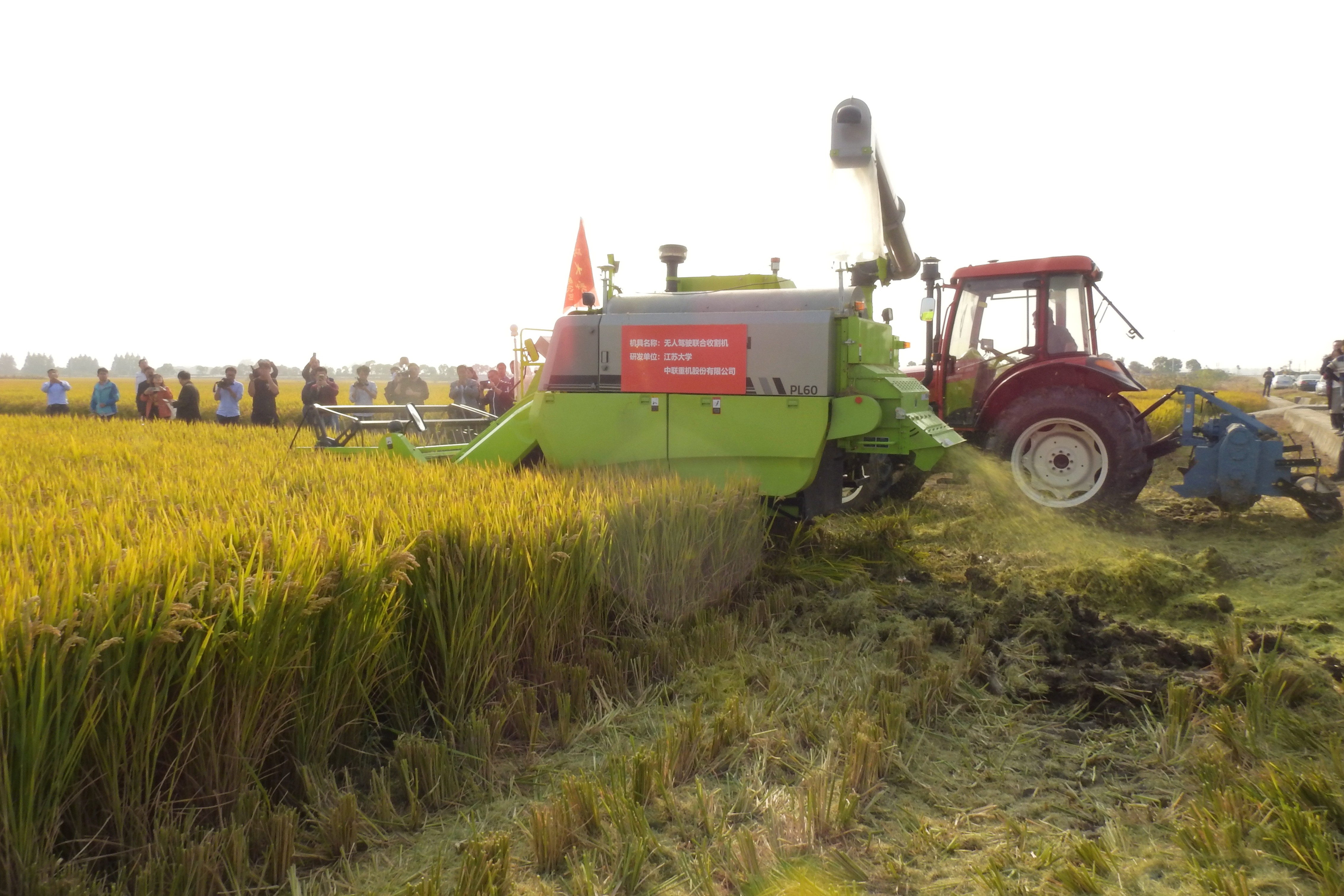 colheita-arroz-asia (Foto: Reuters)