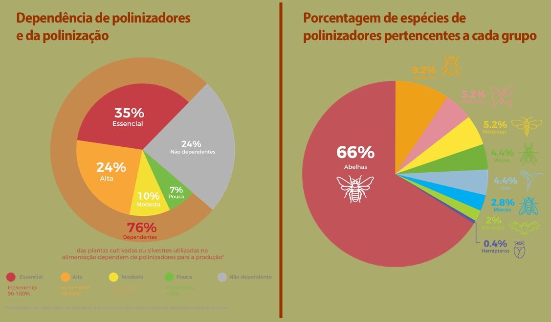 76% das espécias cultivadas no Brasil dependem dos polinizadores. (Foto: Relatório Temático sobre Polinização, Polinizadores e Produção de Alimentos no Brasil)