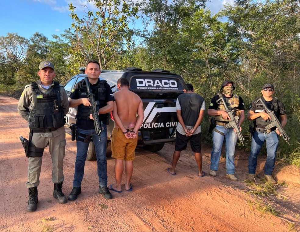 Suspeito de homicídio é preso escondido em cima de árvore em Alto Longá, Norte do Piauí — Foto: Divulgação /PC-PI