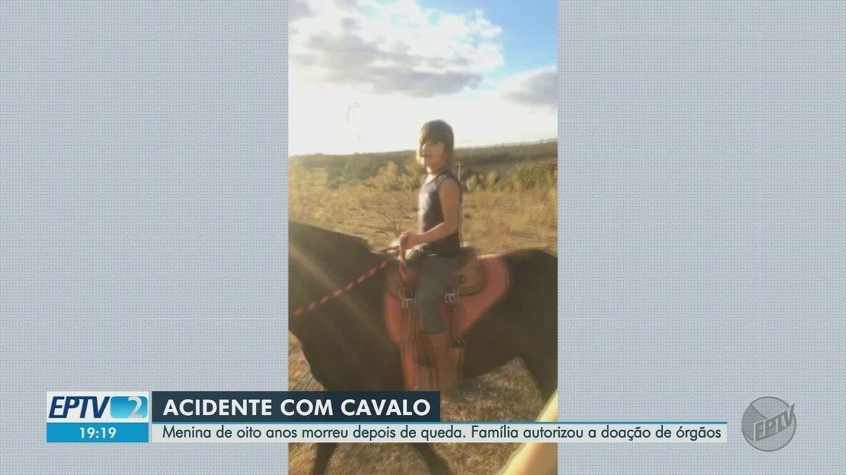 Une famille fait don des organes d’une fillette de 8 ans décédée après un accident de cheval à Ribeirão Corrente, SP |  Ribeirao Preto et la France