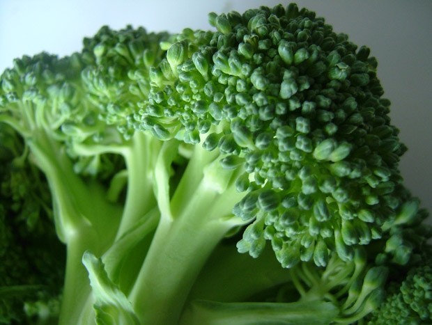 Brócolis (Foto: Reprodução)