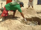 Cinco tartarugas são encontradas mortas em praias de Alagoas 