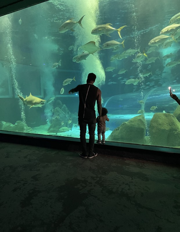 Jason Derulo visita aquário no Rio de Janeiro (Foto:  Grupo Cataratas)