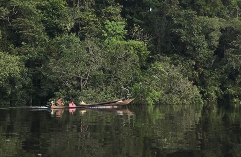 Bacia do rio Negro, no noroeste amazônico, onde população de ariranhas vem se recuperando (Foto: JOÃƒO FELLET/BBC)