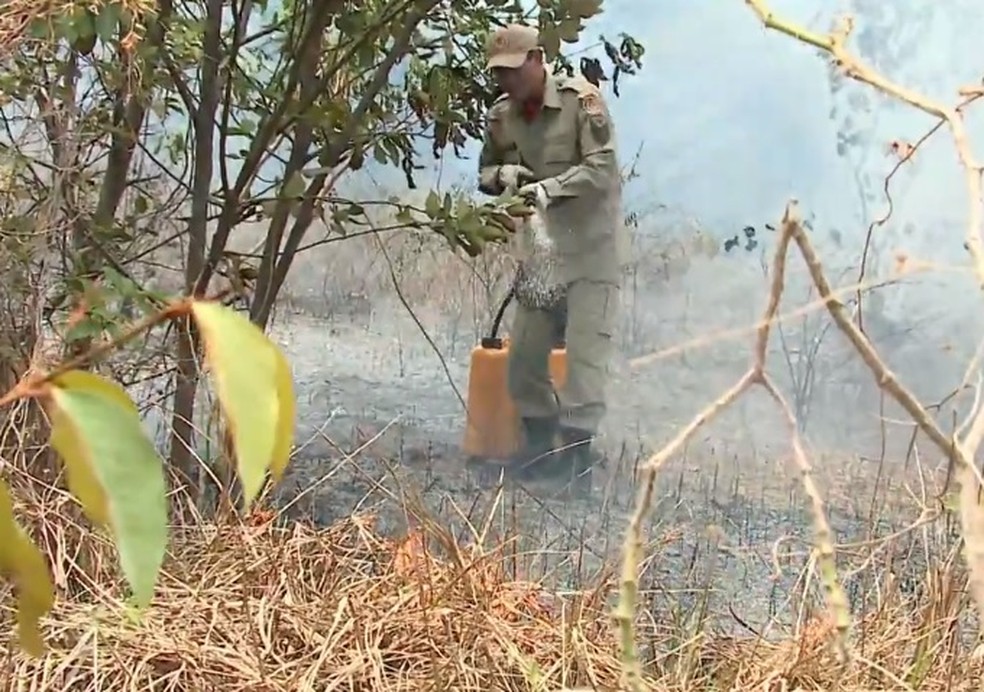 Bombeiros combatem queimadas no Maranhão (Foto: Reprodução / TV Mirante)