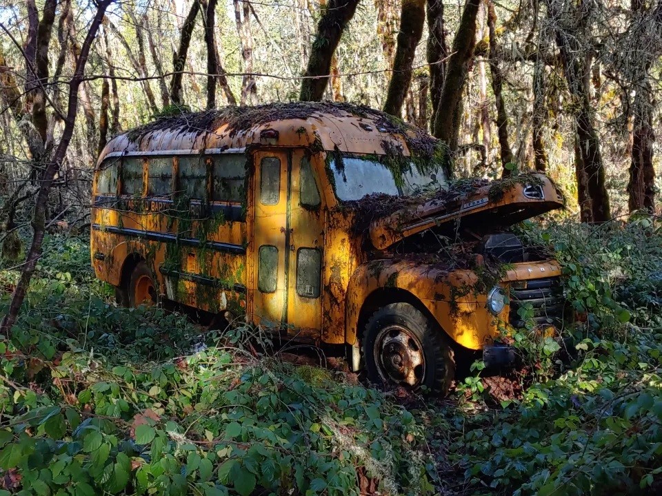 O pai encontrou o ônibus abandonado em uma floresta, perto de casa (Foto: Reprodução/ Youtube)