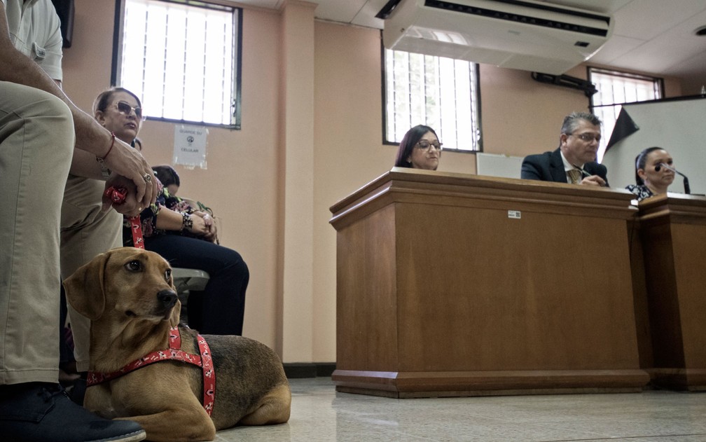 Campeão é visto durante sessão da corte em Atenas, na Costa Rica, na segunda-feira (22) — Foto: Ezequiel Becerra/AFP