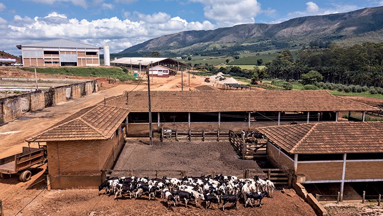 Fazenda Palmito (Foto: Fernando Martinho, de Boa Esperança (MG))