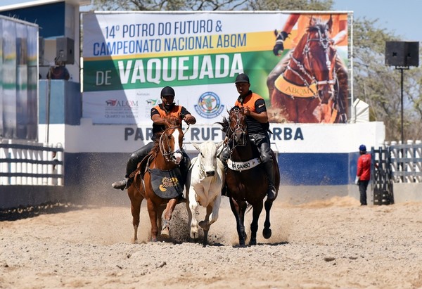 vaquejadas do agreste e sertao podem ser realizadas a partir de 12 de maio diz abvaq caruaru e regiao g1