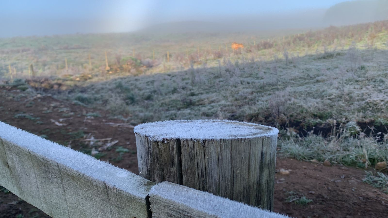 Dia começa com geada na Serra do Rio Grande do Sul