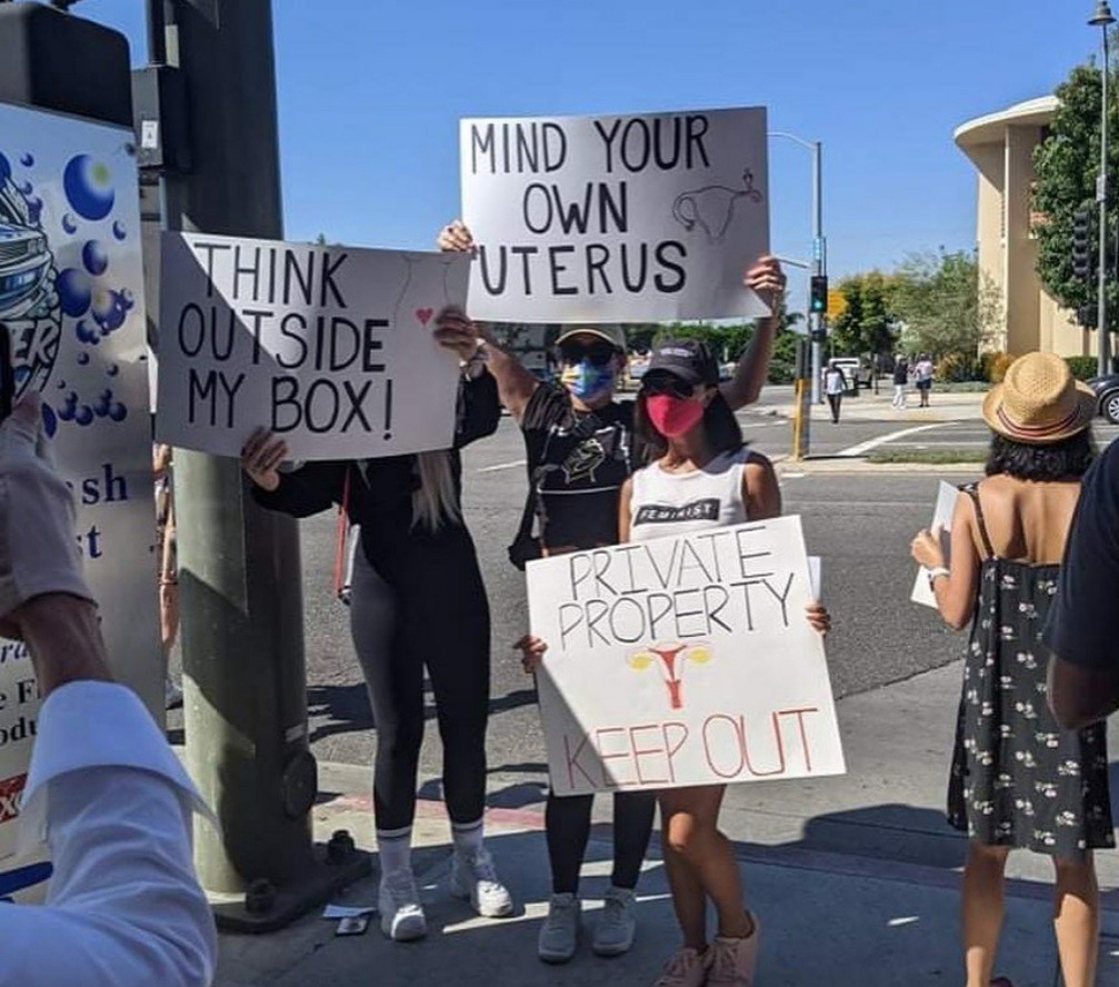 Mulheres carregam cartazes com 'cuide do seu próprio útero' e 'propriedade privada, mantenha distância' (Foto: Reprodução / Instagram @lschluck)