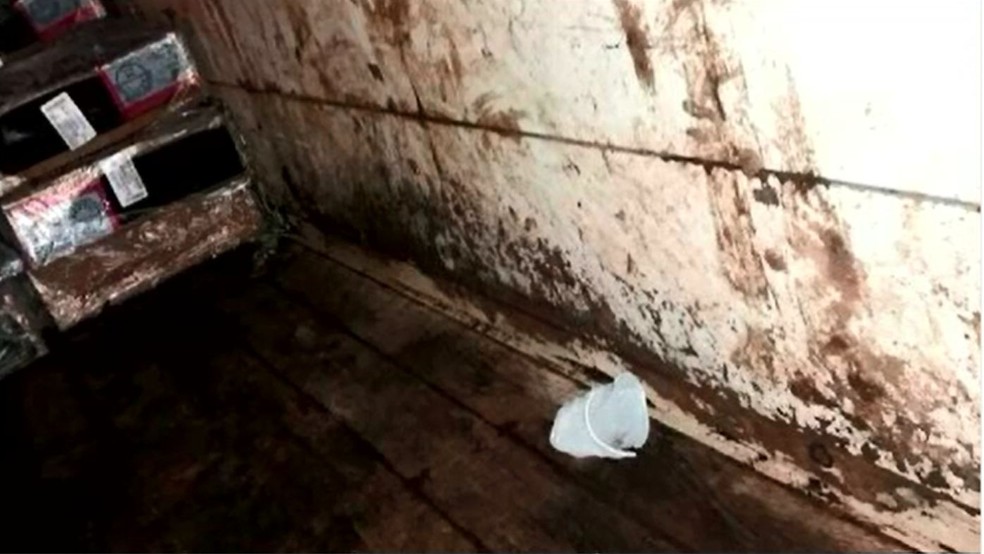 Alimentos eram levados em meio a fezes de gado em Acrelândia (Foto: Reprodução)