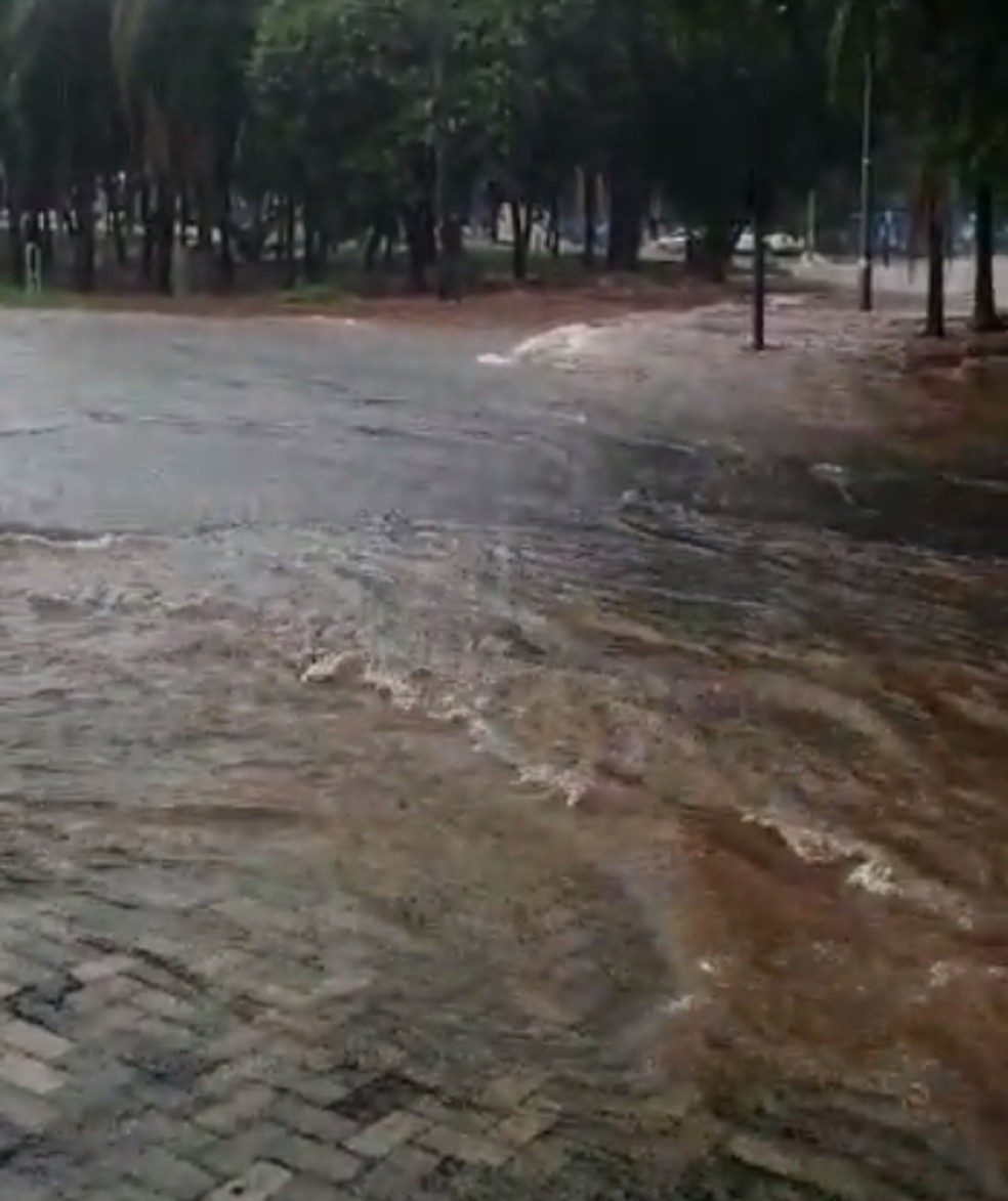 Avenida Murchid Homsi também ficou alagada em Rio Preto  — Foto: Arquivo Pessoal 