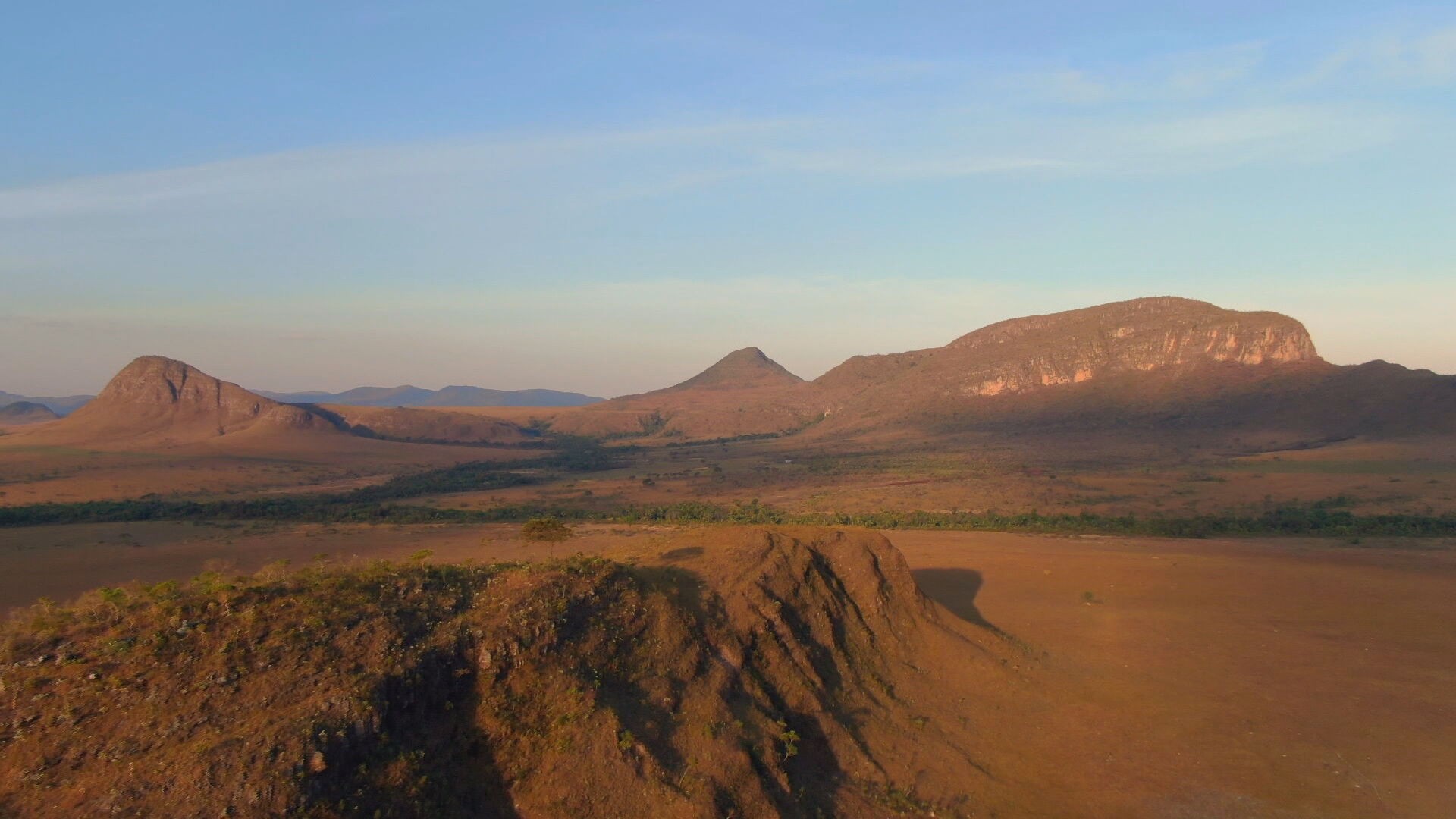 Veja como funciona aplicativo que ajuda agricultores a restaurar o Cerrado