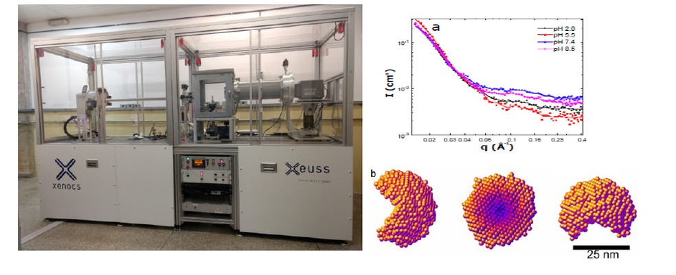 Brasileiros Usam Imagens Em 3d Para Provar Que Capsula Invisivel E Viavel Em Novas Vacinas Com Aplicacao Oral Ciencia E Saude G1