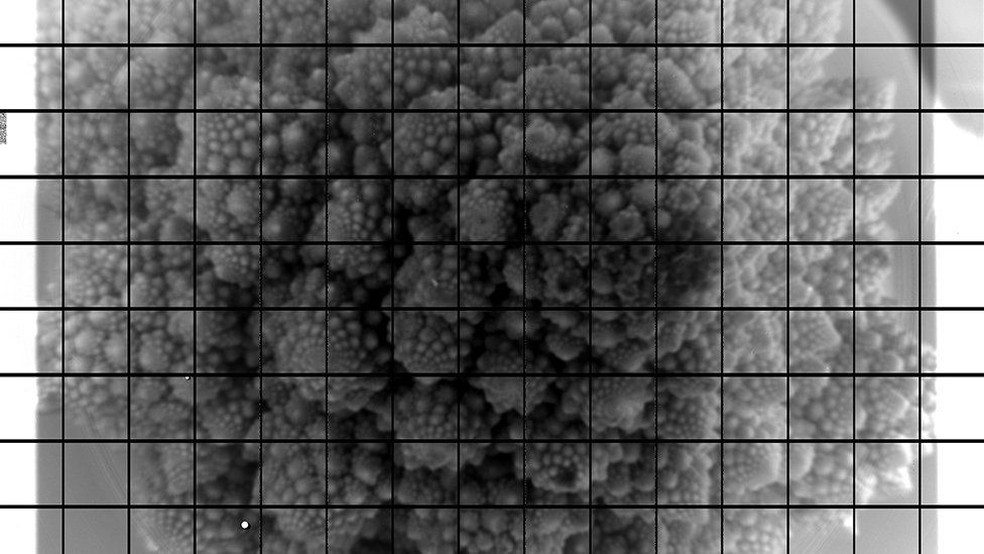 A cabeça de um brócolis romanesco foi captada nos 3.200 megapixels da câmera do Observatório Vera Rubin — Foto: LSST Camera Team/SLAC/VRO